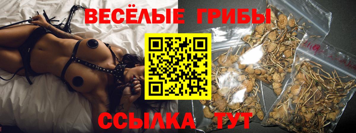 Галлюциногенные грибы Psilocybine cubensis  Псилоцибиновые грибы GOLDEN TEACHER  Ирбит  Вход с VPN 